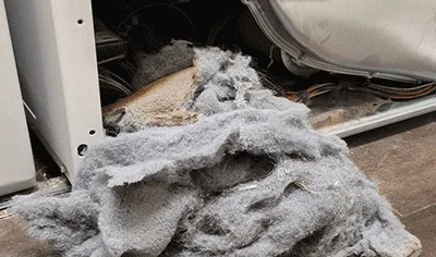 Lint and dirt pulled out of a washing machine that was causing a bad smell