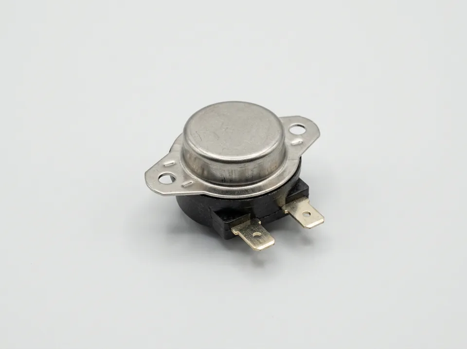 Tumble dryer thermal fuse or thermostat