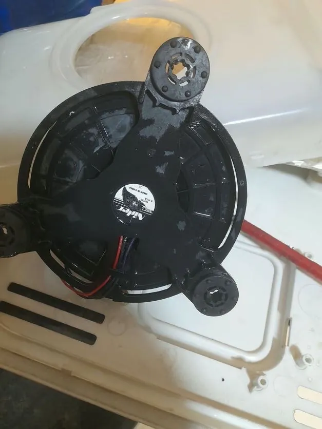 Washing machine motor